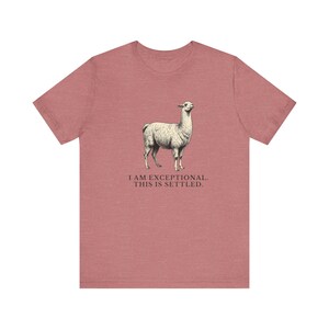 Exceptional This Is Settled Shirt, Funny Llama Tee, Self Confidence Gift, Bold Statement Graphic T-Shirt, Llama Lover image 6