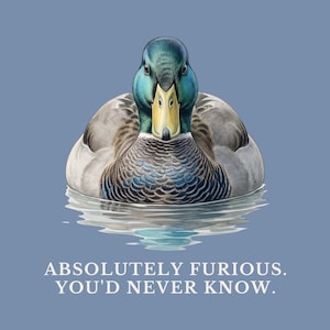 Absolutely Furious. You'd Never Know. T-Shirt image 2