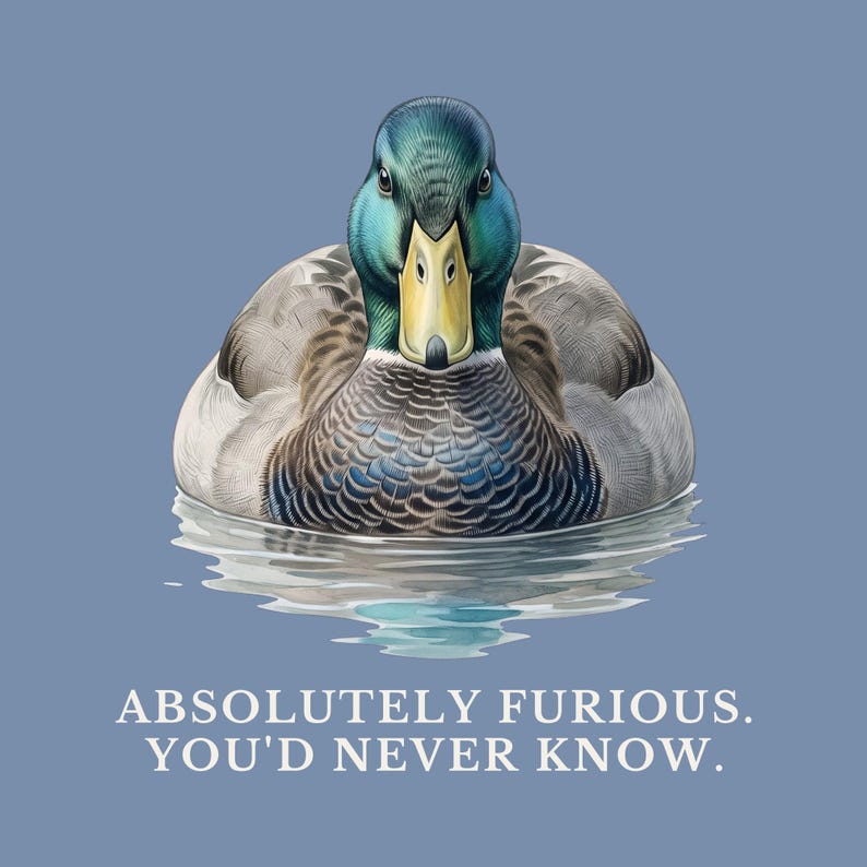 Absolutely Furious. You'd Never Know. T-Shirt image 2
