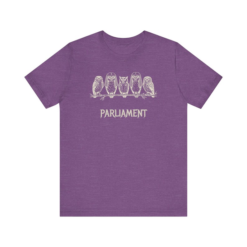 Funny Owl Shirt, Parliament of Owls Collective Noun Tee, Bird Nerd Gift, Literary Humor T-Shirt, Birder Gift, English Teacher Graphic Tee image 16