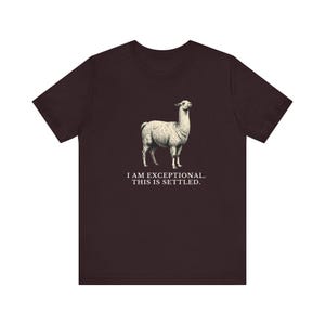 Exceptional This Is Settled Shirt, Funny Llama Tee, Self Confidence Gift, Bold Statement Graphic T-Shirt, Llama Lover image 20