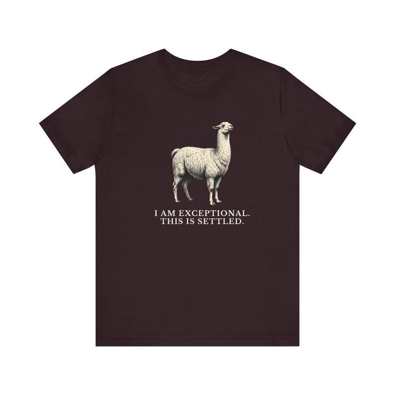 Exceptional This Is Settled Shirt, Funny Llama Tee, Self Confidence Gift, Bold Statement Graphic T-Shirt, Llama Lover image 20