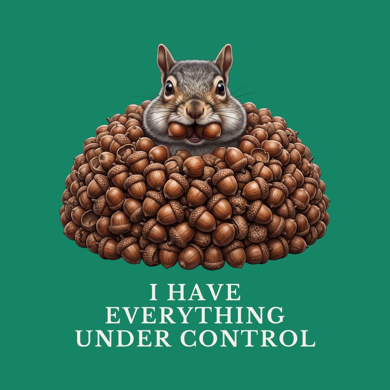 Everything Under Control Squirrel T-Shirt image 2
