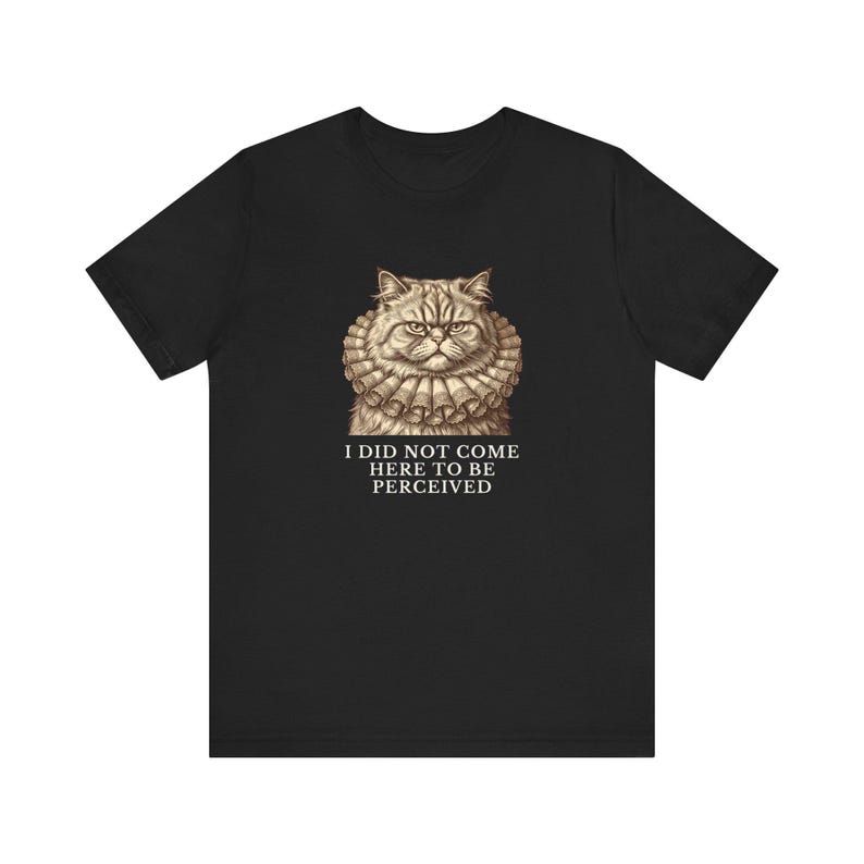 Did Not Come To Be Perceived T-Shirt image 8