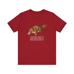 Peace With It Platypus Shirt, Funny Platypus Tee, Self Acceptance Gift, Weird Animal Humor Graphic T-Shirt, Nature Lover image 19