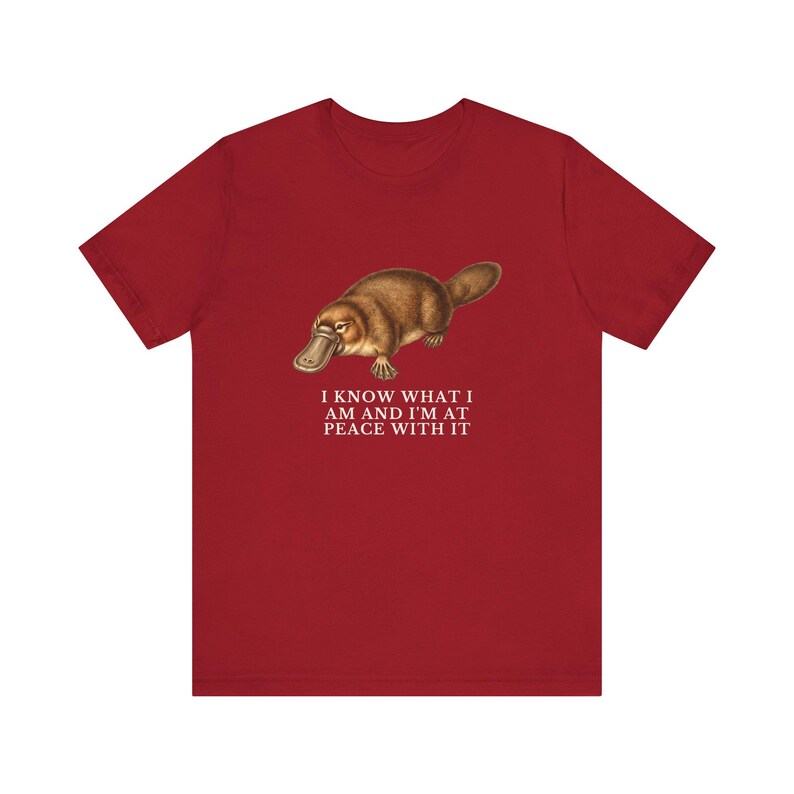 Peace With It Platypus Shirt, Funny Platypus Tee, Self Acceptance Gift, Weird Animal Humor Graphic T-Shirt, Nature Lover image 19