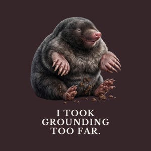 I Took Grounding Too Far T-Shirt immagine 2
