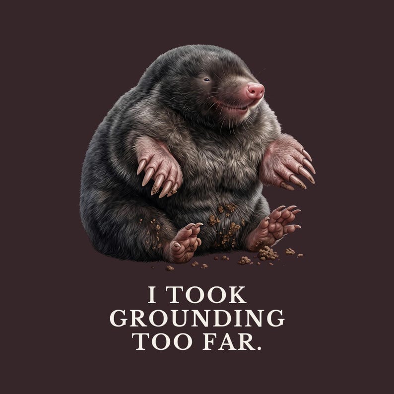 I Took Grounding Too Far T-Shirt immagine 2