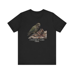 I Found It Like This T-Shirt image 8