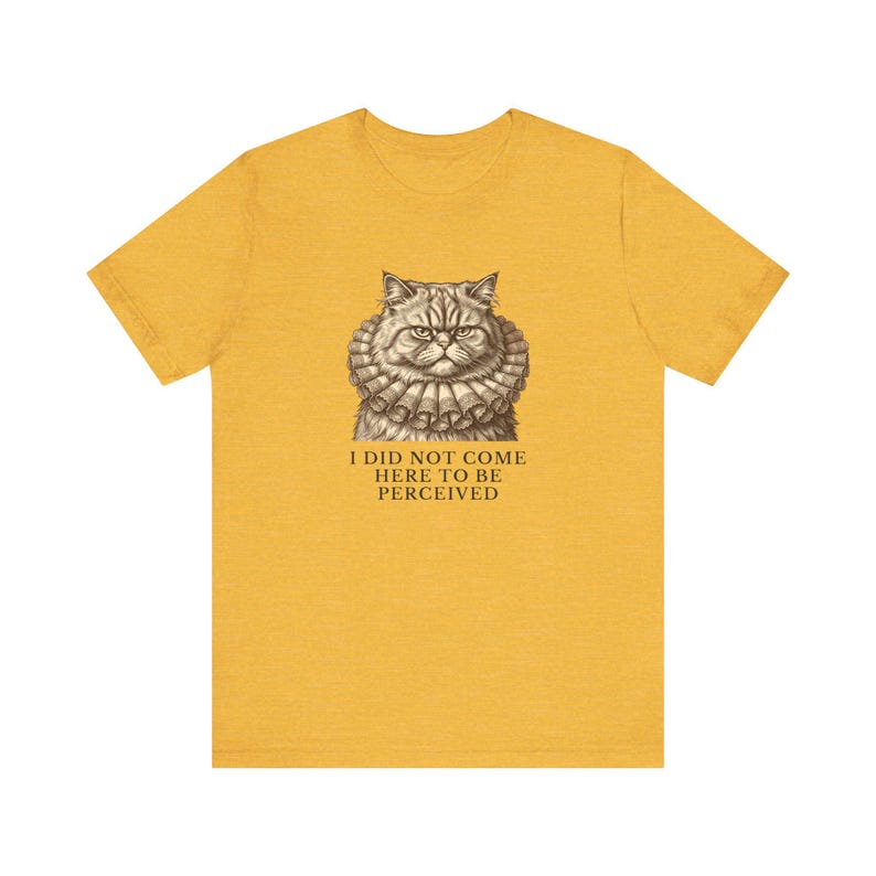 Did Not Come To Be Perceived T-Shirt image 9