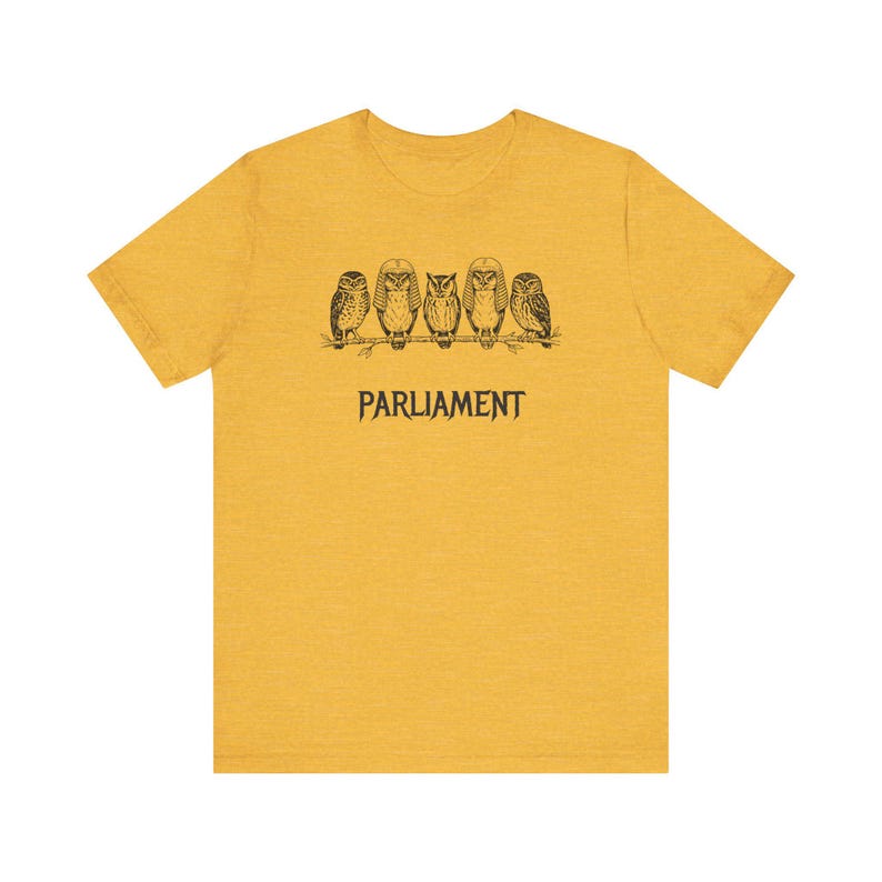 Funny Owl Shirt, Parliament of Owls Collective Noun Tee, Bird Nerd Gift, Literary Humor T-Shirt, Birder Gift, English Teacher Graphic Tee image 8