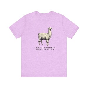 Exceptional This Is Settled Shirt, Funny Llama Tee, Self Confidence Gift, Bold Statement Graphic T-Shirt, Llama Lover image 3