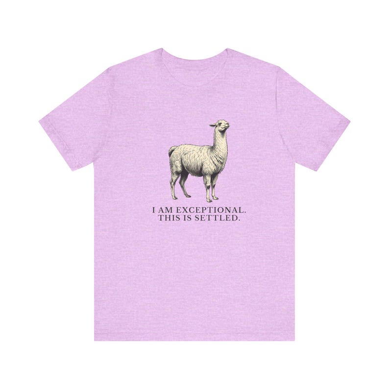 Exceptional This Is Settled Shirt, Funny Llama Tee, Self Confidence Gift, Bold Statement Graphic T-Shirt, Llama Lover image 3