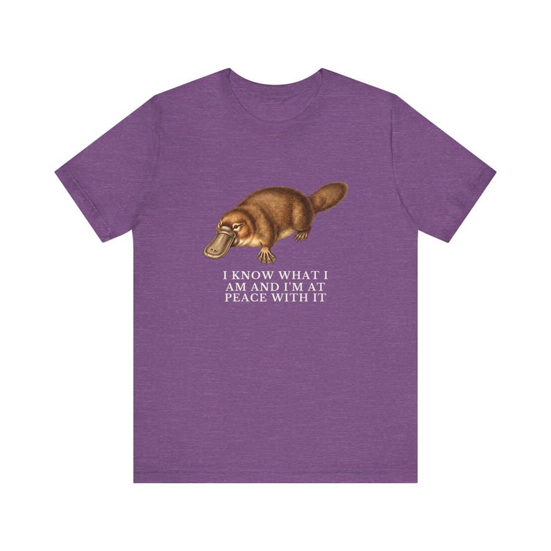 Peace With It Platypus Shirt, Funny Platypus Tee, Self Acceptance Gift, Weird Animal Humor Graphic T-Shirt, Nature Lover image 16