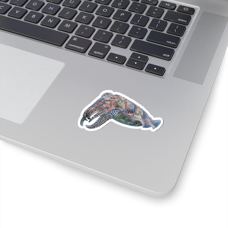 Cuttlefish Sticker - Colour Changing Cuttlefish Kiss-Cut Sticker, Marine Biology Gift image 2