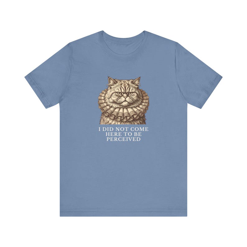 Did Not Come To Be Perceived T-Shirt image 14