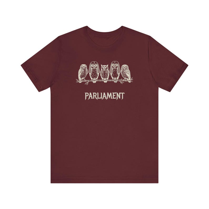 Funny Owl Shirt, Parliament of Owls Collective Noun Tee, Bird Nerd Gift, Literary Humor T-Shirt, Birder Gift, English Teacher Graphic Tee image 18