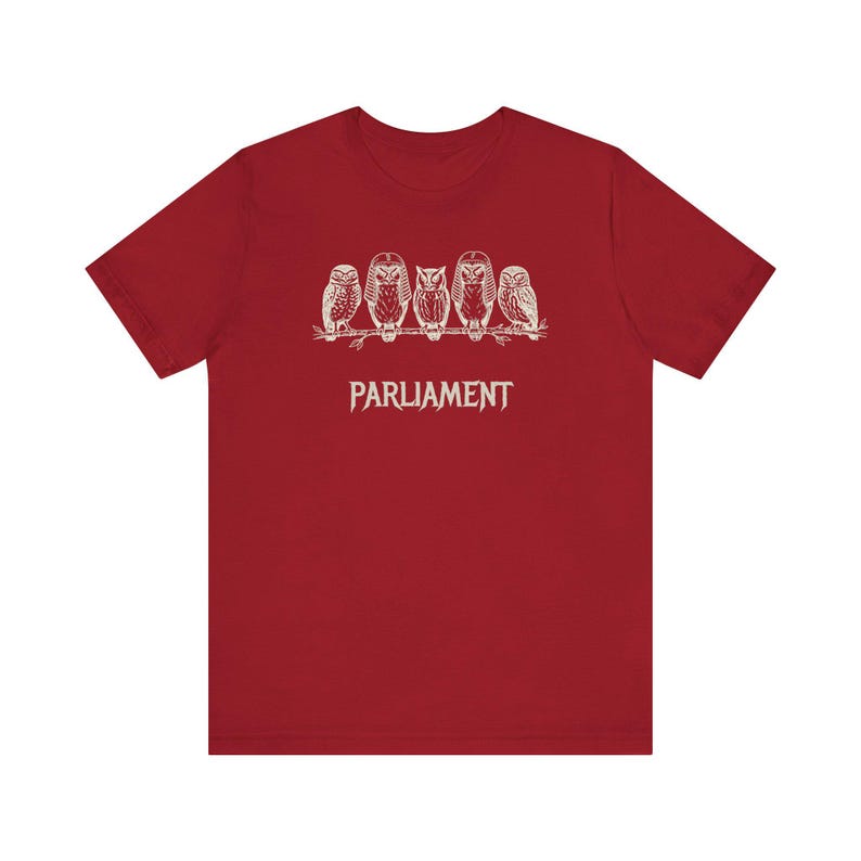 Funny Owl Shirt, Parliament of Owls Collective Noun Tee, Bird Nerd Gift, Literary Humor T-Shirt, Birder Gift, English Teacher Graphic Tee image 19