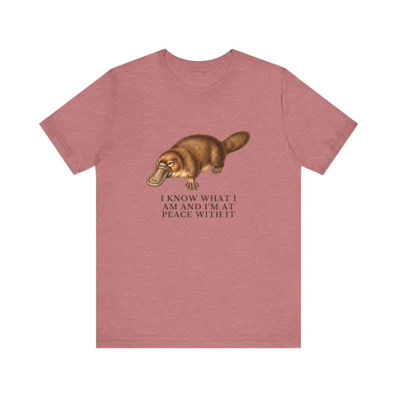 Peace With It Platypus Shirt, Funny Platypus Tee, Self Acceptance Gift, Weird Animal Humor Graphic T-Shirt, Nature Lover image 6