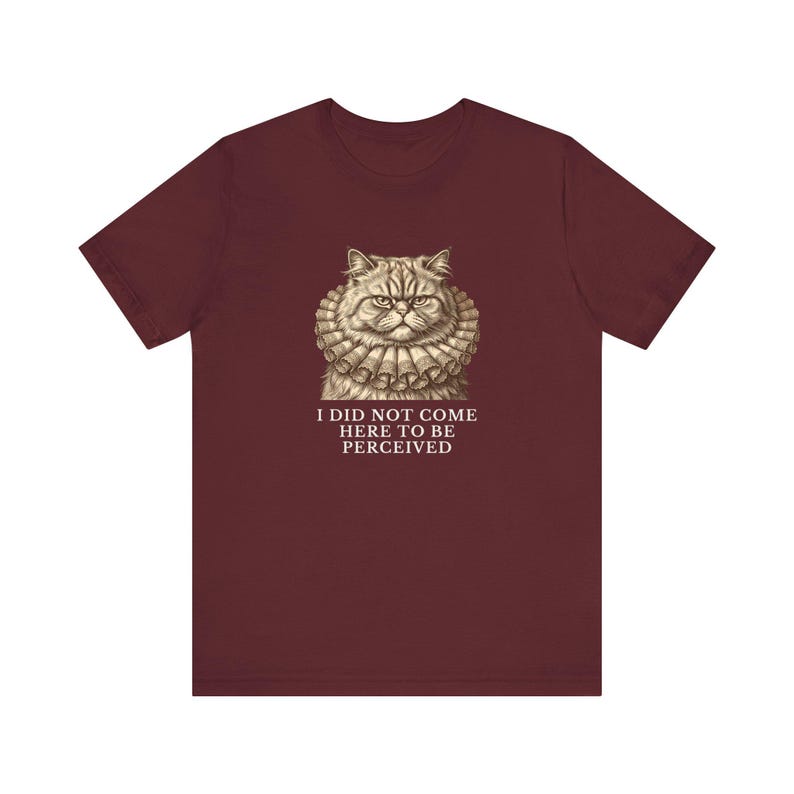 Did Not Come To Be Perceived T-Shirt image 3