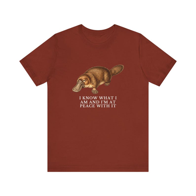 Peace With It Platypus Shirt, Funny Platypus Tee, Self Acceptance Gift, Weird Animal Humor Graphic T-Shirt, Nature Lover image 3
