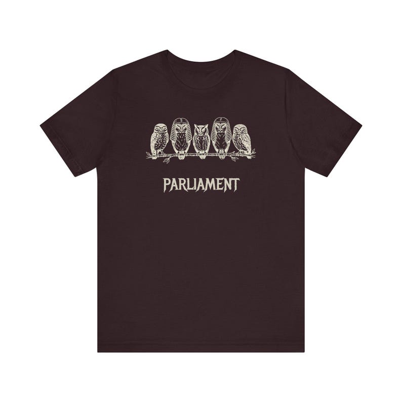Funny Owl Shirt, Parliament of Owls Collective Noun Tee, Bird Nerd Gift, Literary Humor T-Shirt, Birder Gift, English Teacher Graphic Tee image 20