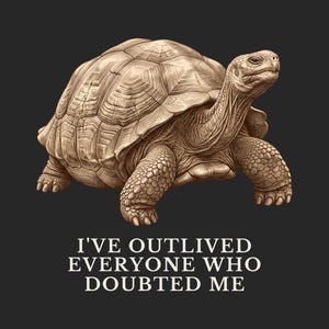Outlived Every Last Doubter Shirt, Funny Tortoise Tee, Motivational Gift, Survivor Humor Graphic T-Shirt, Slow and Steady afbeelding 2