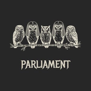 Funny Owl Shirt, Parliament of Owls Collective Noun Tee, Bird Nerd Gift, Literary Humor T-Shirt, Birder Gift, English Teacher Graphic Tee image 2