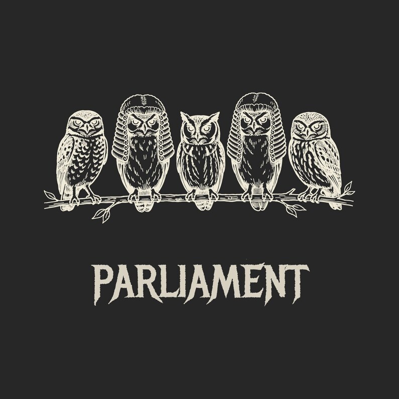 Funny Owl Shirt, Parliament of Owls Collective Noun Tee, Bird Nerd Gift, Literary Humor T-Shirt, Birder Gift, English Teacher Graphic Tee image 2