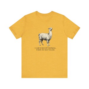 Exceptional This Is Settled Shirt, Funny Llama Tee, Self Confidence Gift, Bold Statement Graphic T-Shirt, Llama Lover image 9