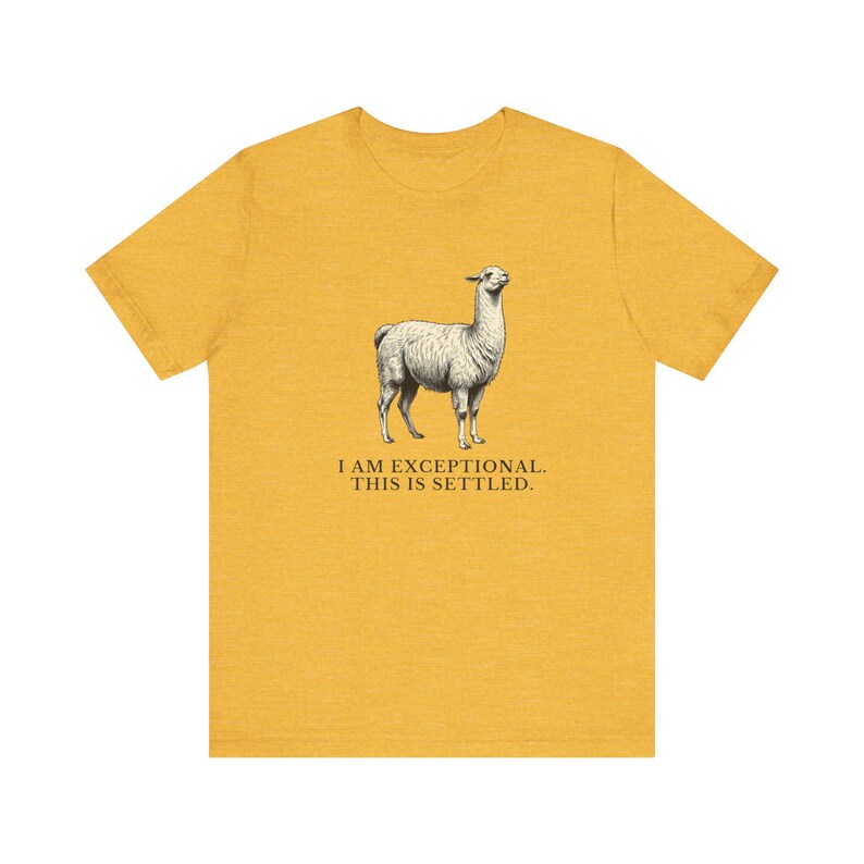 Exceptional This Is Settled Shirt, Funny Llama Tee, Self Confidence Gift, Bold Statement Graphic T-Shirt, Llama Lover image 9