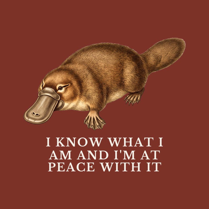 Peace With It Platypus Shirt, Funny Platypus Tee, Self Acceptance Gift, Weird Animal Humor Graphic T-Shirt, Nature Lover image 2