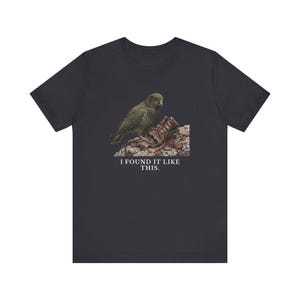 I Found It Like This T-Shirt image 10