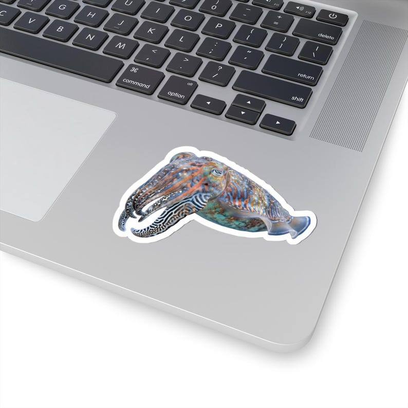 Cuttlefish Sticker - Colour Changing Cuttlefish Kiss-Cut Sticker, Marine Biology Gift image 5