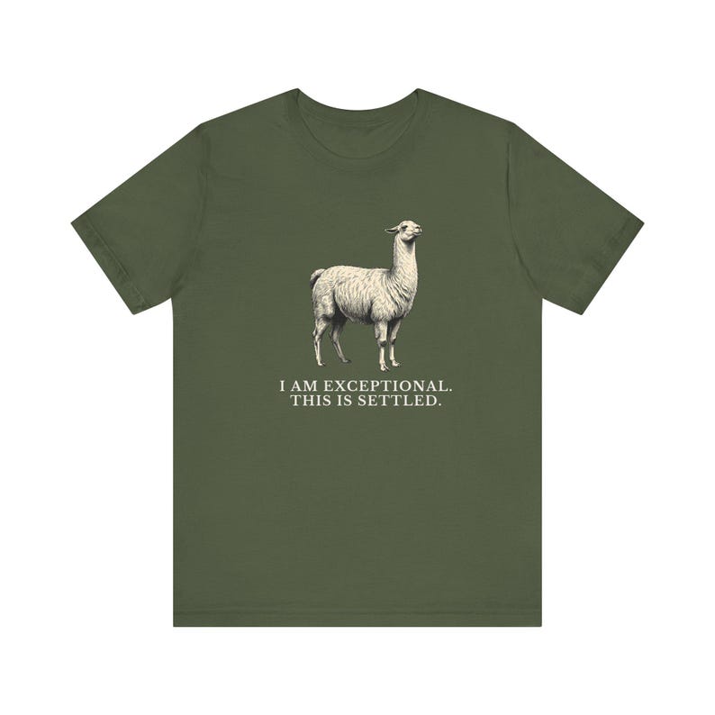 Exceptional This Is Settled Shirt, Funny Llama Tee, Self Confidence Gift, Bold Statement Graphic T-Shirt, Llama Lover image 11