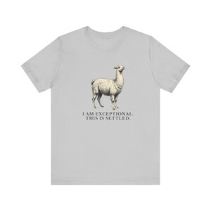 Exceptional This Is Settled Shirt, Funny Llama Tee, Self Confidence Gift, Bold Statement Graphic T-Shirt, Llama Lover image 5
