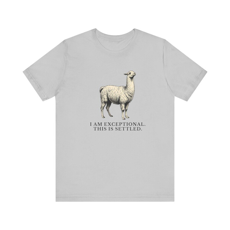 Exceptional This Is Settled Shirt, Funny Llama Tee, Self Confidence Gift, Bold Statement Graphic T-Shirt, Llama Lover image 5