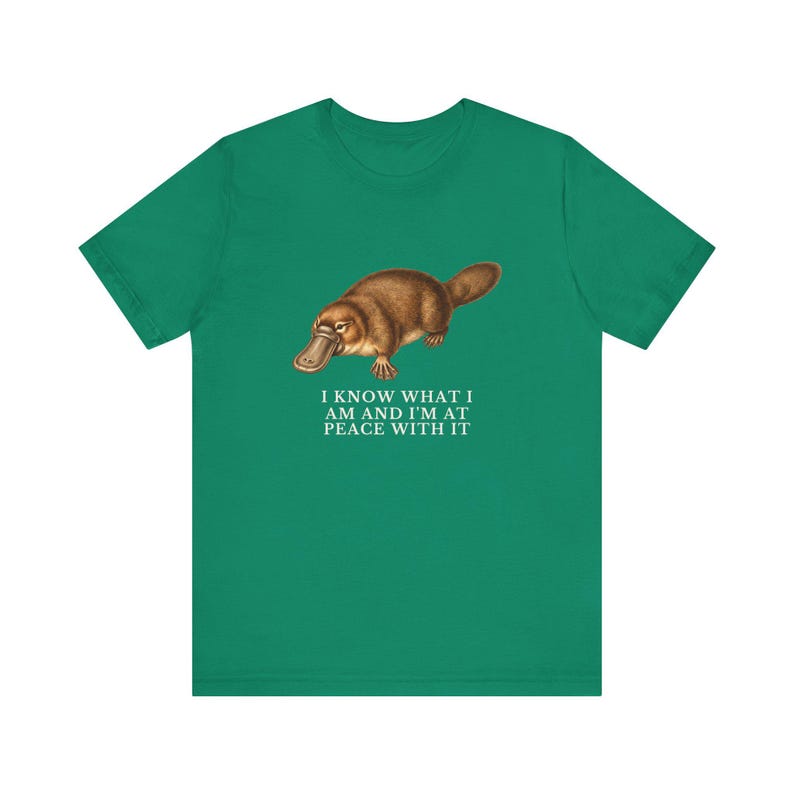 Peace With It Platypus Shirt, Funny Platypus Tee, Self Acceptance Gift, Weird Animal Humor Graphic T-Shirt, Nature Lover image 11