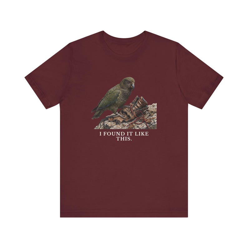 I Found It Like This T-Shirt image 18