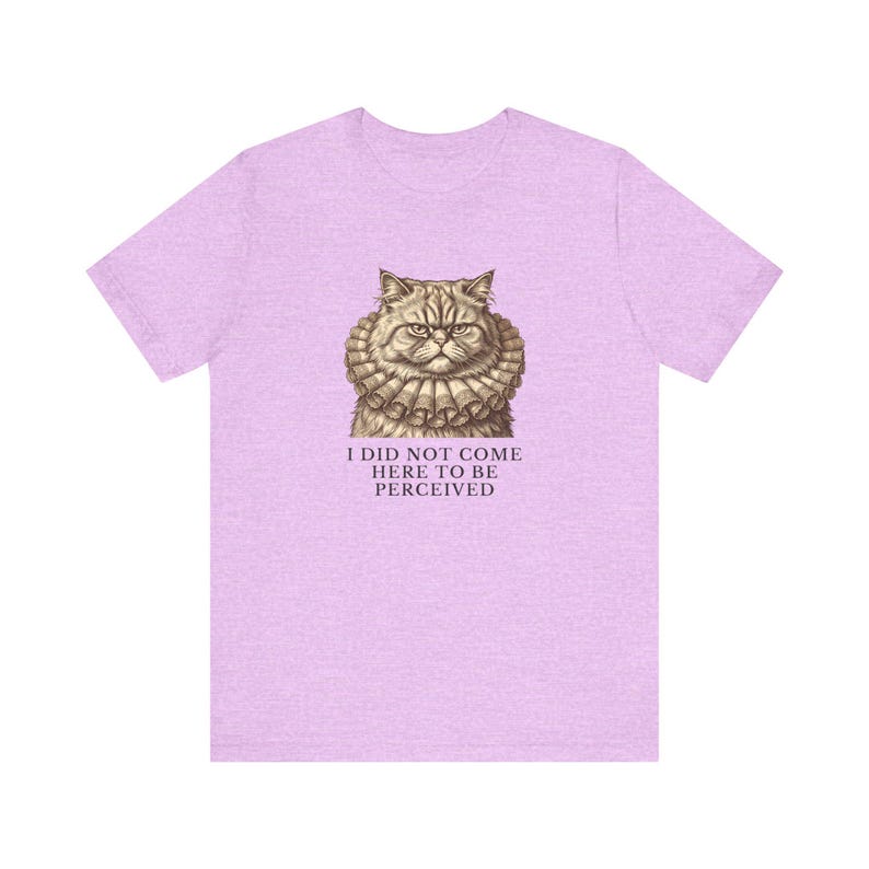 Did Not Come To Be Perceived T-Shirt image 18