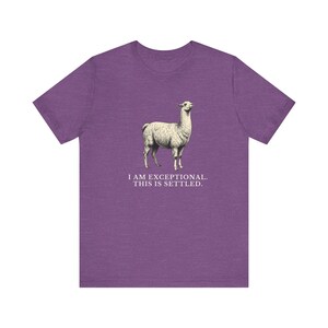 Exceptional This Is Settled Shirt, Funny Llama Tee, Self Confidence Gift, Bold Statement Graphic T-Shirt, Llama Lover image 17
