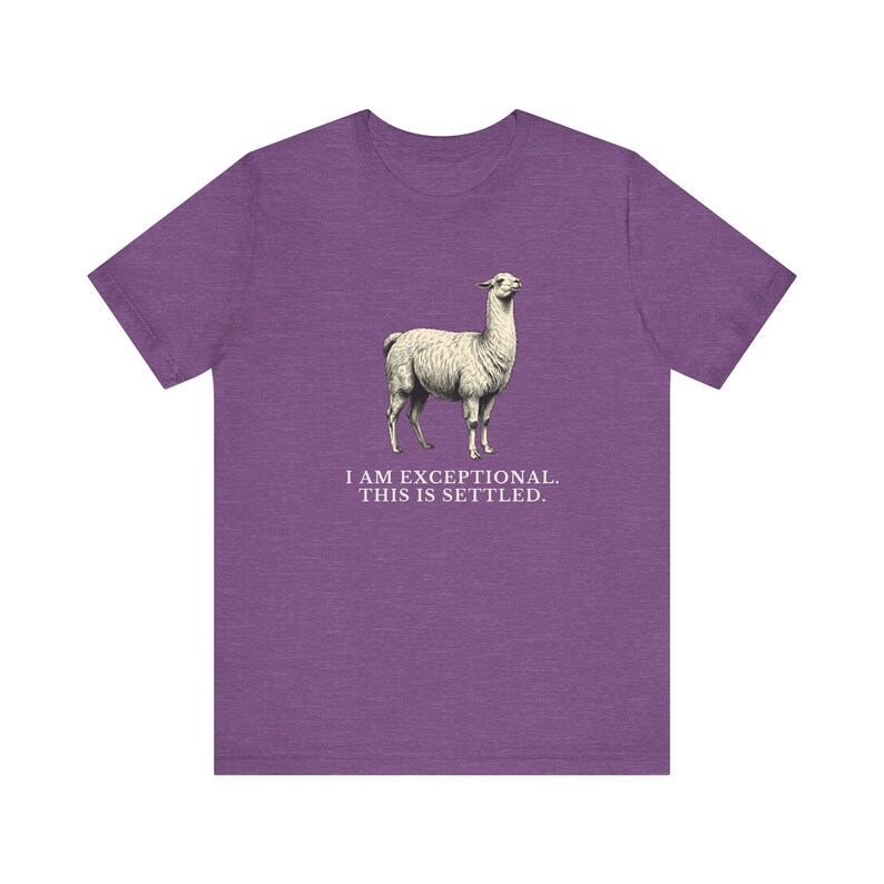 Exceptional This Is Settled Shirt, Funny Llama Tee, Self Confidence Gift, Bold Statement Graphic T-Shirt, Llama Lover image 17