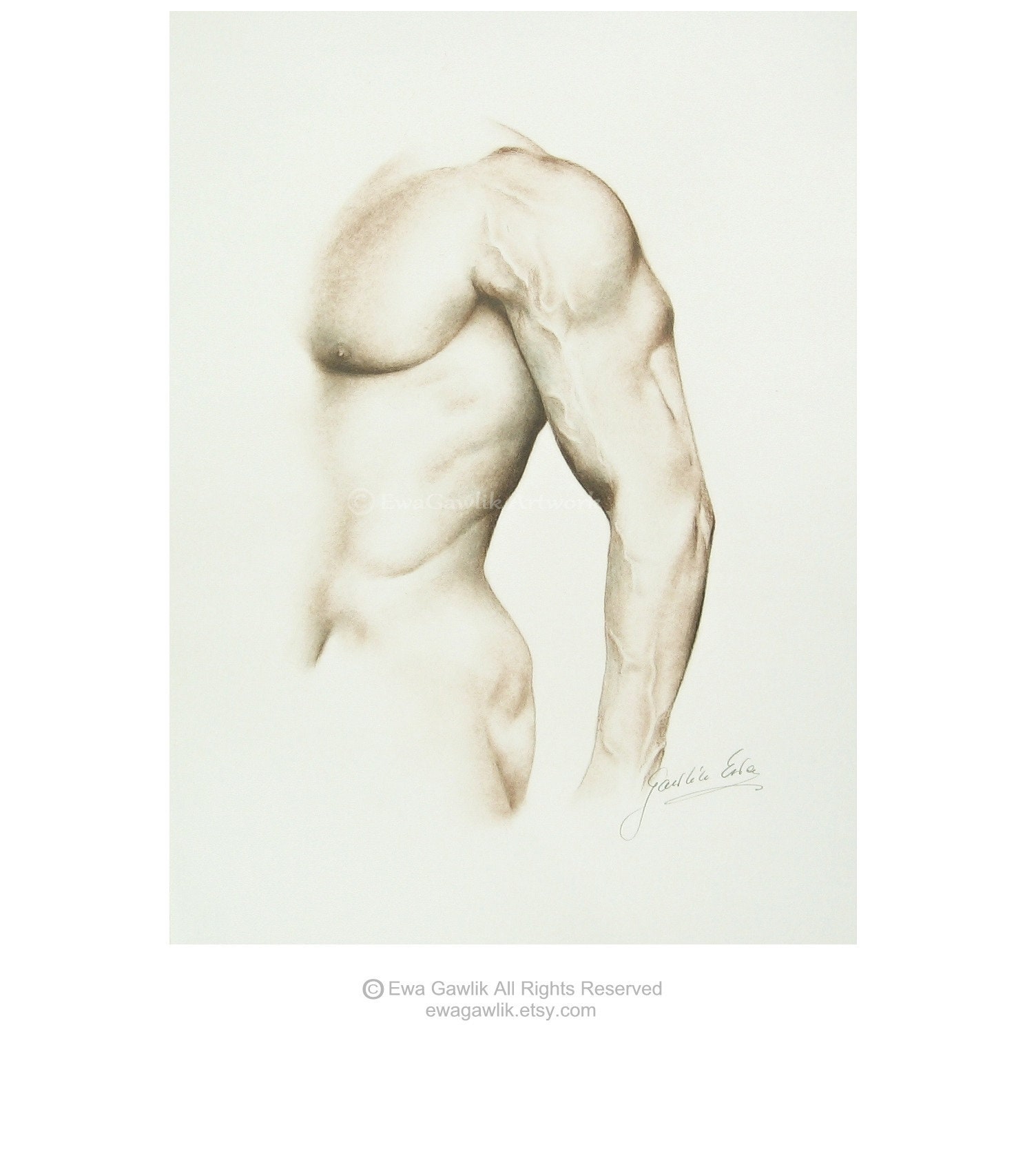 Male Nude Sketch Male Torso Order Male Drawing Replica of - Etsy Hong Kong