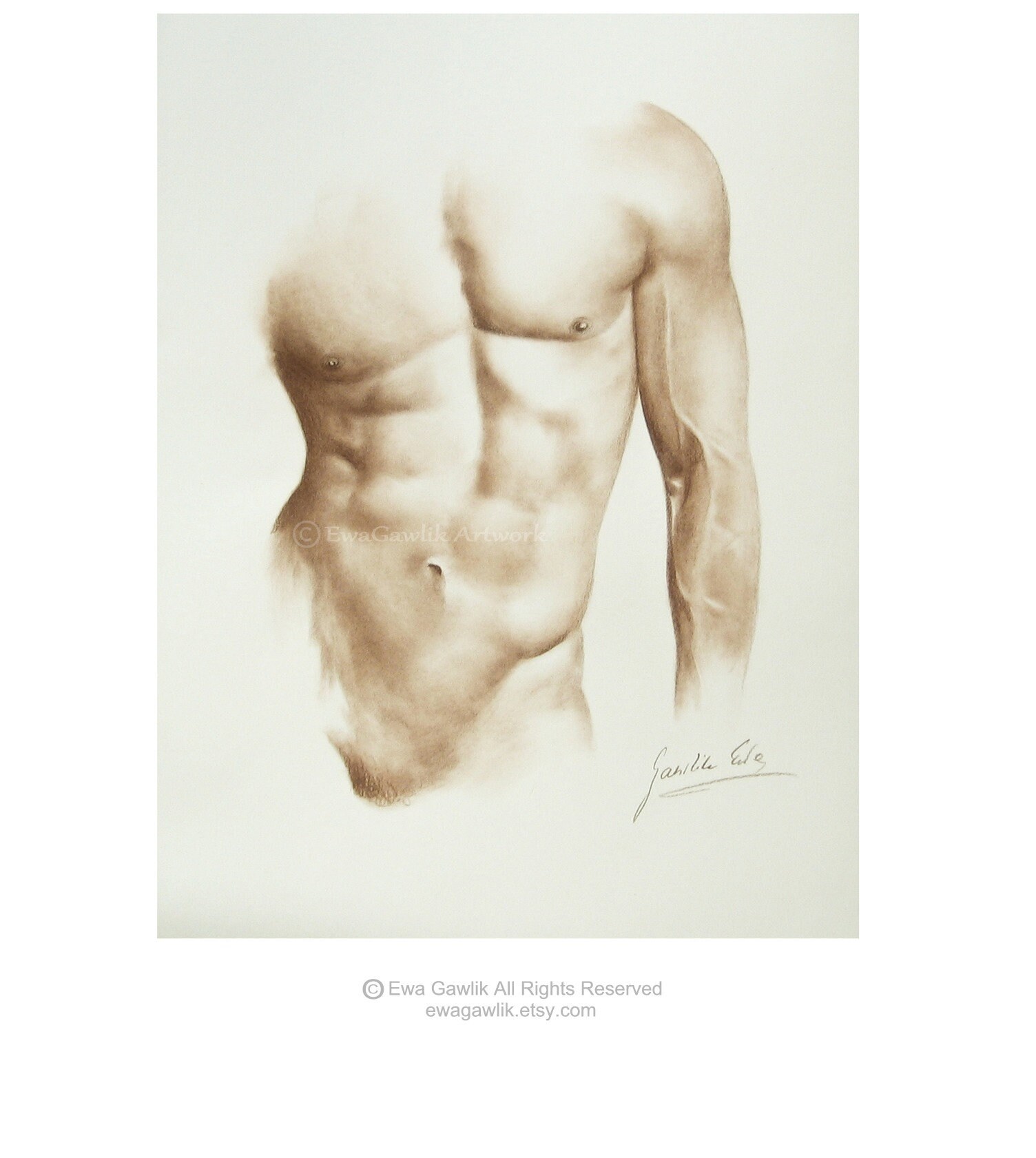 Male Nude Sketch, Order Male Nude, Handmade Nude, Erotic Drawing