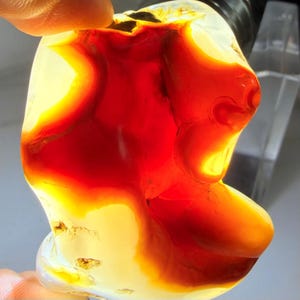 May include: A translucent, polished gemstone with a smooth, irregular shape. The stone features vibrant, deep red and orange hues that transition into creamy, pale yellow and white areas, creating a glowing effect when backlit.