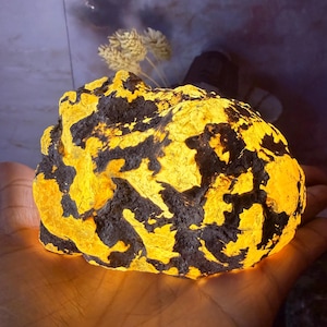 Puede incluir: Un espécimen de roca cruda e irregular que presenta un contraste llamativo entre vetas minerales negras y texturizadas y un interior amarillo dorado vibrante y translúcido que brilla con luz interna, mostrando una superficie compleja y dentada.