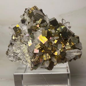 Peut inclure: Un spécimen minéral composé de cristaux de pyrite cubiques de couleur or métallique regroupés avec des pointes de quartz blanc translucide. Les surfaces de pyrite présentent des reflets irisés arc-en-ciel et des textures striées, monté sur un socle en acrylique transparent.