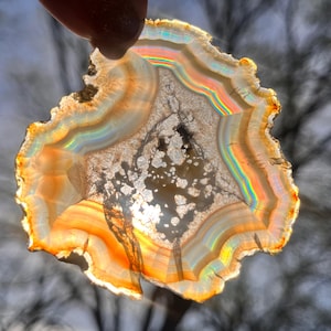 May include: A translucent agate slice with an irregular shape, displaying concentric bands of orange, white, and brown. The stone has a rainbow iridescence and a central, textured area with a speckled pattern. The edges are rough and uneven.