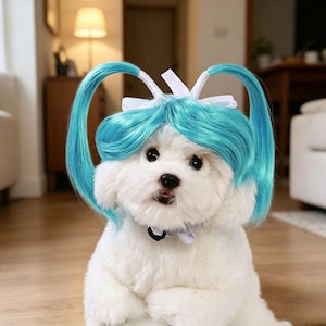 Puede incluir: Un perro blanco y esponjoso con una peluca azul brillante peinada con dos coletas altas y lazos blancos. El perro tiene una pequeña pajarita negra. El fondo es un interior borroso con suelo de madera.