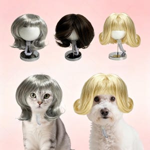 Könnte beinhalten: Eine Auswahl an Tierperücken in Grau-, Braun- und Blondtönen, präsentiert auf Mannequinköpfen und getragen von einer Katze und einem Hund. Die Perücken haben verschiedene Frisuren, wie Bobs und Locken. Die Haustiere tragen die Perücken.